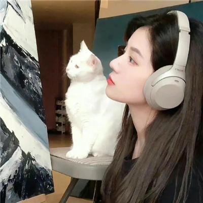 师父!我要跳舞了海报